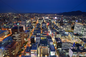 Downtown Sapporo Cityscape