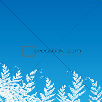 fern on the blue background for text