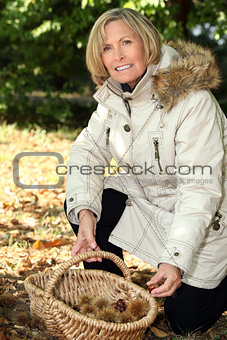 Mature woman picking chestnuts