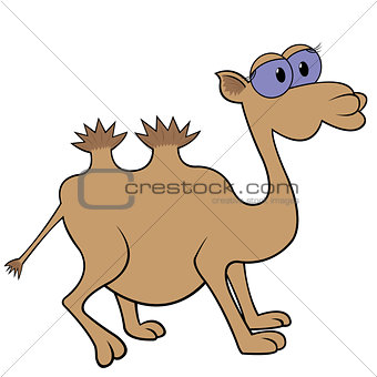 Camel Cartoon Vector Illustration