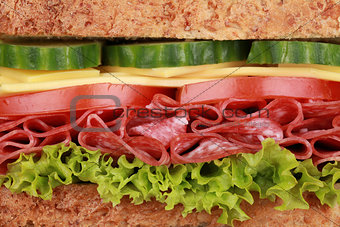 Closeup of a sandwich with salami