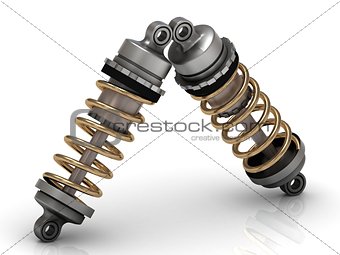 Two automotive shock absorber