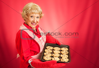 Grandmas Homemade Chocolate Chip Cookies