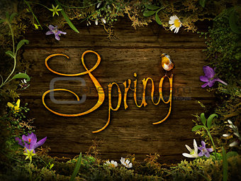 Spring design - Flower wreath