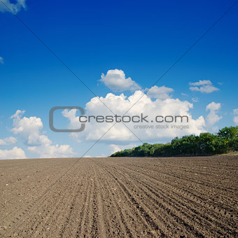 black plowed field under blue sky