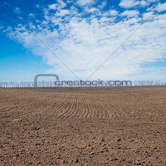 black plowed field under deep blue sky