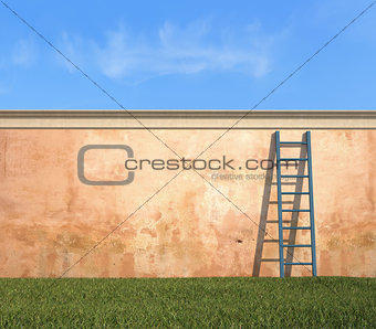 ladder against a grunge wall in a garden 