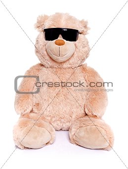 Teddy bear with sunglasses
