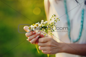 beautiful summer girl with camomile in hands