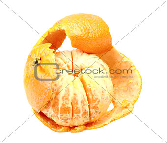 One fruit of orange tangerine with skin