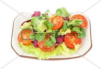 vegetable salad