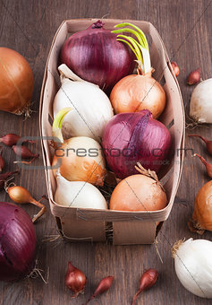 Different varieties of onions