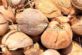 Pile of discarded coconut husk 