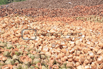 Pile of discarded coconut husk