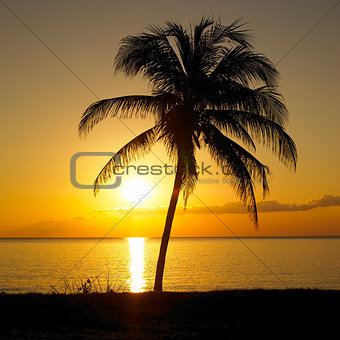 sunset over Caribbean Sea, Maria la Gorda, Pinar del Rio Provinc