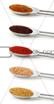 Spices measured in metal teaspoons
