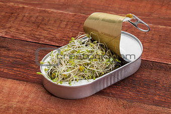 broccoli sprouts in can