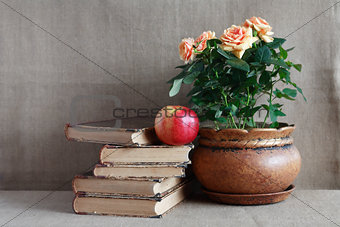 Old Books And Flowers