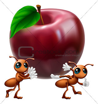 Ants carrying a big apple