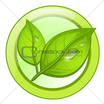 Green eco leaf logo with water drops