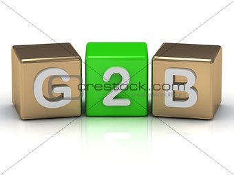 B2G business-to-government symbol on gold and green cubes