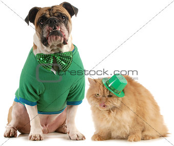 st patricks day dog and cat