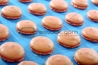 Macaroons on a baking sheet.
