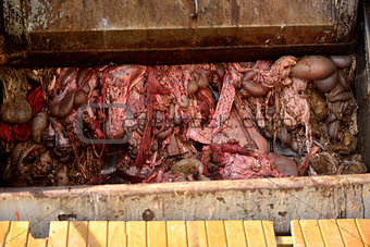 animal gut loaded garbage truck