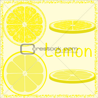 Citrus slices vector lemon
