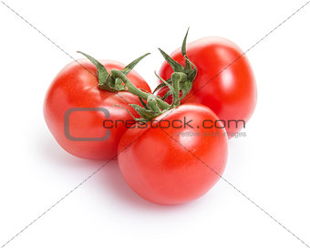 fresh tomatoes with branch