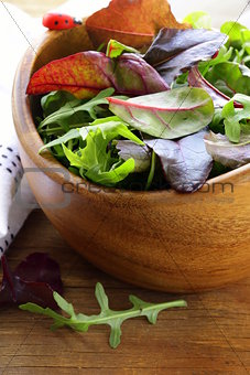 mix salad (arugula, iceberg, red beet) in a bowl