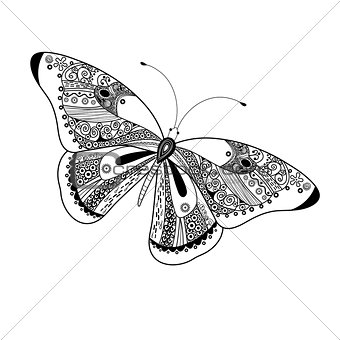 graphic butterfly