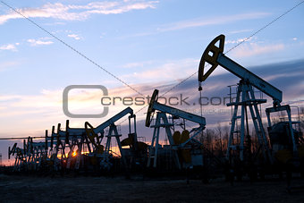 oil pumps 