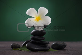 Stacked hot stones or massage stones and frangipani