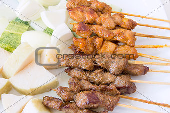 Mutton and Chicken Satay Dish Macro