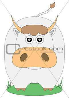 nice bull on the green grass
