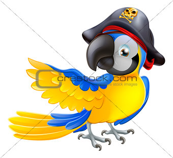 Parrot pirate character