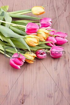 Bouquet of mixed colored tulips
