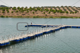 Floating dock