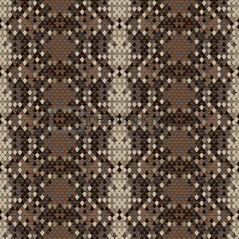 Snake skin reptile seamless pattern, vector Eps8 illustration.