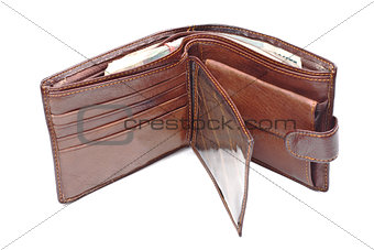 Brown leather wallet with money