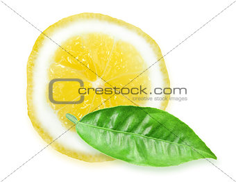 Slice of yellow lemon and green leaf