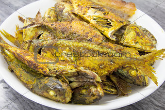 Deep Fired Fish with Curry Powder Closeup