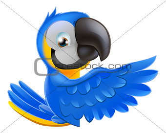 Cute blue and yellow parrot