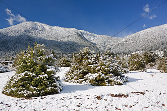 Mount Giona Winter