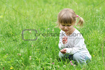beautiful little girl on nature