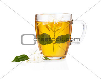 Green tea with jasmine flowers over white