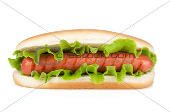 Hot dog with lettuce