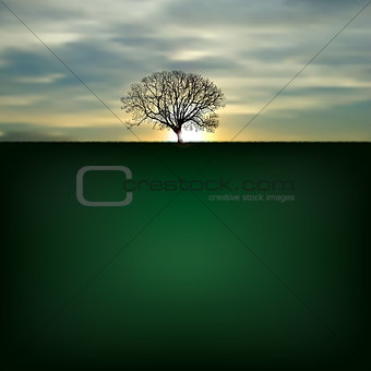 Nature background with silhouette of tree