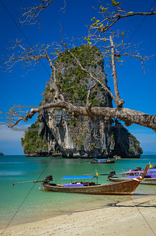 Phra Nang beach and island landscape view with tree and boat